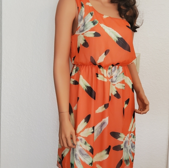 HP🎉Charming Charlie Feather Print Empire Dress Small - Picture 4 of 5